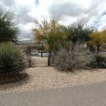 Tucson_0124 ()